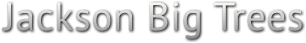 Jackson Big Trees Jackson Big Trees